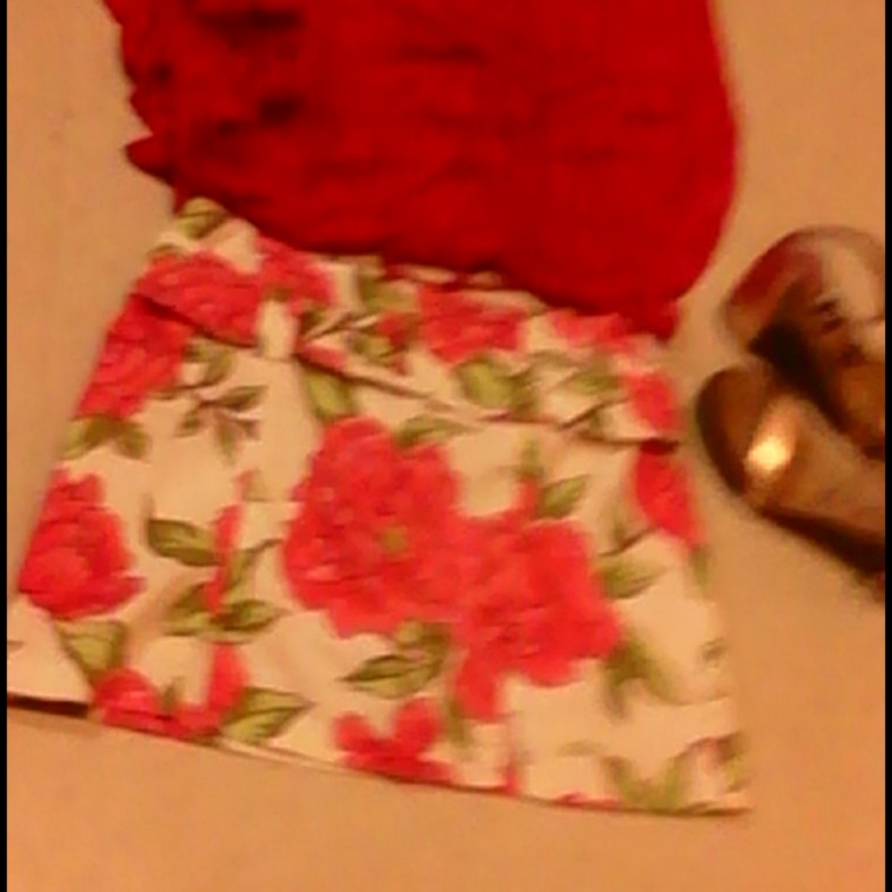 Paraphrase skirt